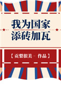 我为国家添砖加瓦男主