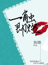 一触即燃小说特色